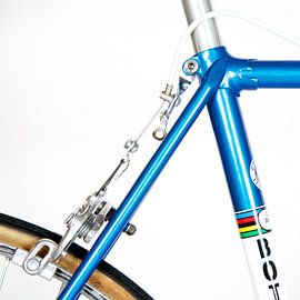 Bottecchia Rennrad von Leon van Bon