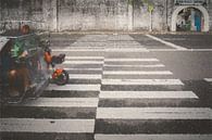 Tricycle crossing van André Scherpenberg thumbnail