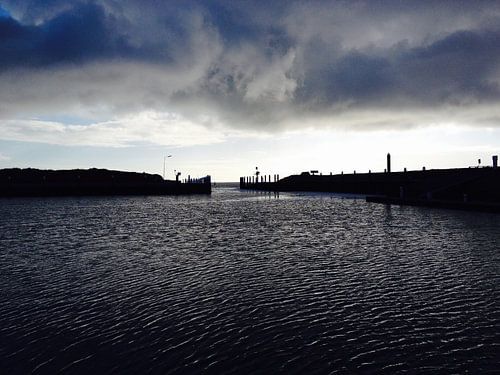 Haven vlieland