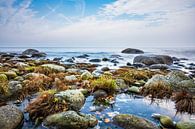 Stones on shore of the Baltic Sea van Rico Ködder thumbnail