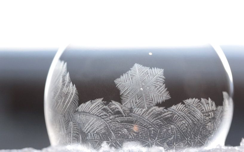 Frozen Bubble by Marian Kramer
