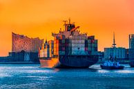 Big pots in the harbour by ahafineartimages thumbnail