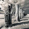 alte Buhnen am Strand von Stephan Zaun