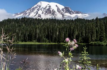 Mount Rainier National Park van MirjamCornelissen - Fotografie