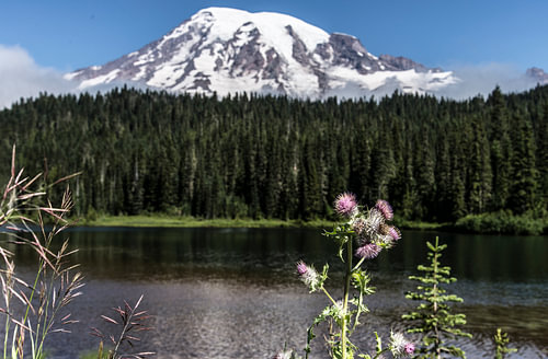 Mount Rainier National Park