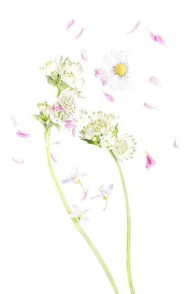 Frühling von Hennie Zeij