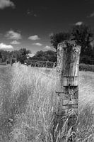 Limburgs Landschap