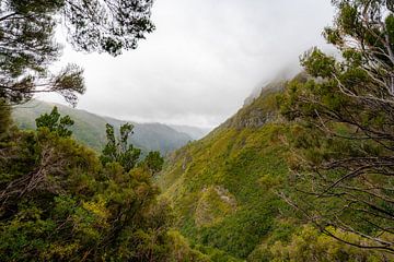 Een mooi uitzicht punt van het ruige gedeelte op Madeira van lars Bosch