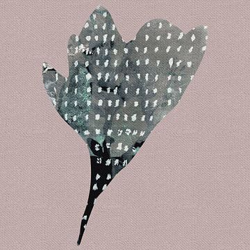 Wabi- sabi botanische Collage. Magnolie. von Dina Dankers