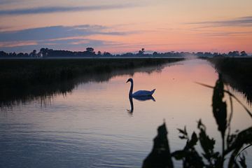 Ruhige Natur von Sanne Lenes