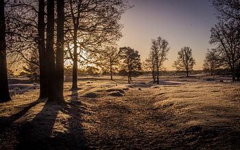 Zonsopkomst - Kale Duinen