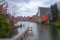 Woonwijk in Hoorn van Elroy Spelbos Fotografie thumbnail