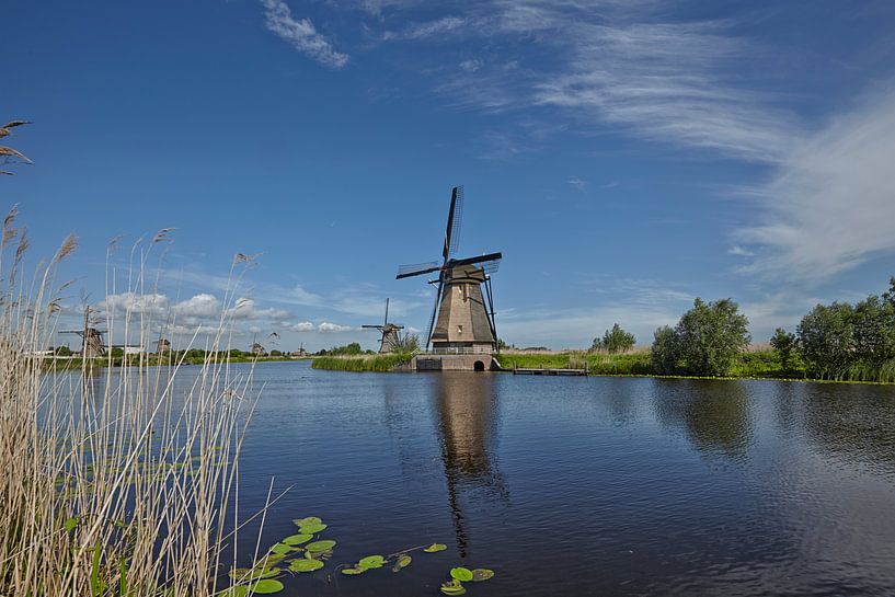 Historische niederländische Windmühlen auf den Poldern in Kinderdijk, Zuid-Holland, den Niederlanden von Tjeerd Kruse