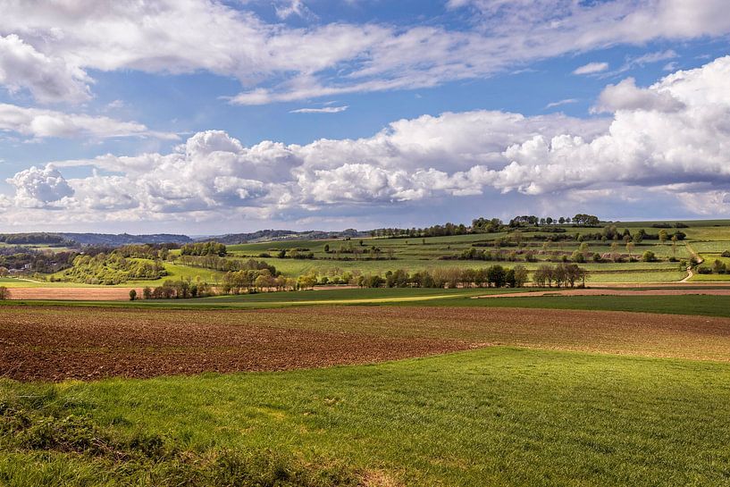 Ransdalerveld par Rob Boon
