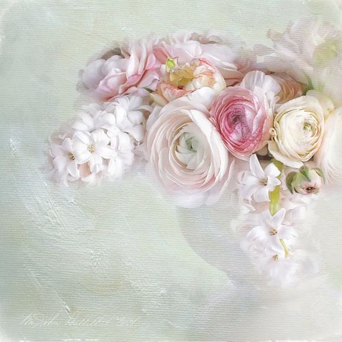 A Breath of spring - Dream of spring