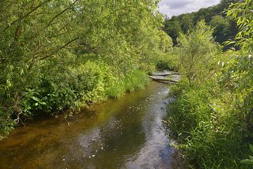 La rivière dans la nature sur Dieter Beselt