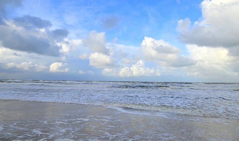 Strand von Texel von Jose Lok