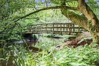Brug over Bekendelle