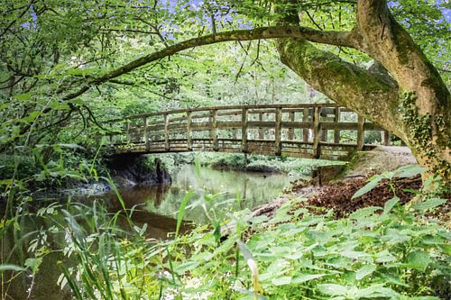 Bridge over Bekendelle