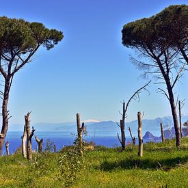 Vue depuis le Monte Pellegrino sur l'Etna, en Sicile sur Silva Wischeropp
