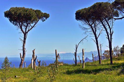 View from Monte Pellegrino towards Mount Etna in Sicily