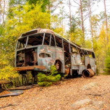 Oude bus in het bos van Connie de Graaf