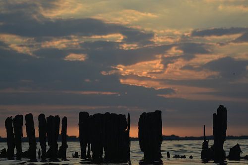 Oude palen in het water