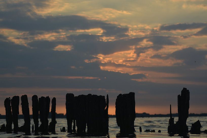 Oude palen in het water von Robert Poort