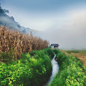 Harvest season by Insolitus Fotografie