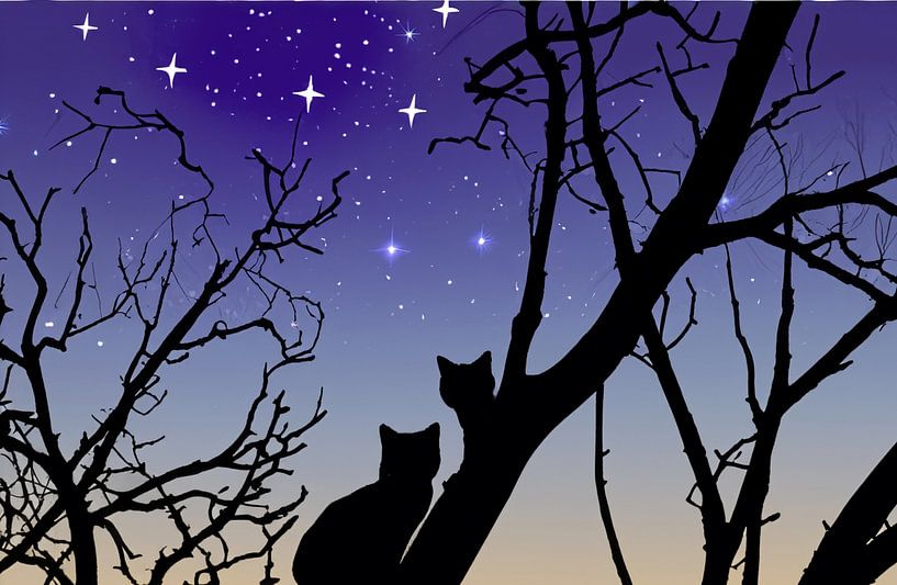 Twee katten en de sterren illustratie van Patricia Hofmeester