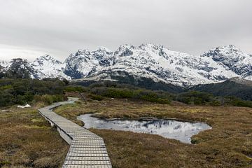De bergen van Nieuw-Zeeland van Linda Schouw