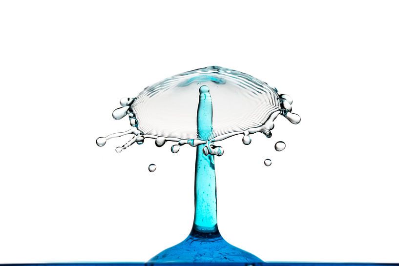 Goutte d'eau ? Éclaboussure par Tanja van Beuningen