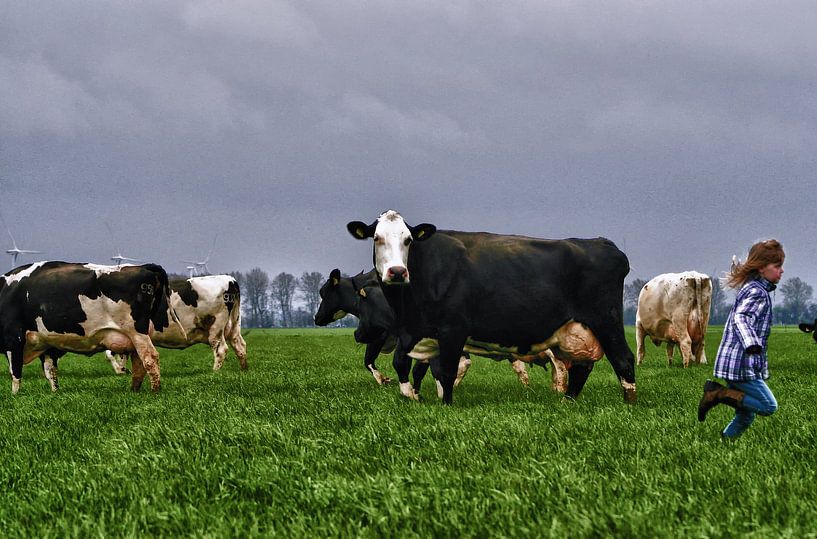 meisje hold weg van de koeien HDR VERSIE par foto-fantasie foto-fantasie