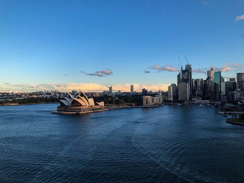 Sydney by Hello Pompoyo