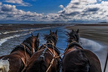 Terschelling, rust, strand, zee en, paarden! van Annette van Dijk-Leek