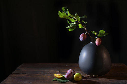 Pflaumenzweig mit Früchten und Blättern in einer Vase und ein paar Pflaumen auf einem