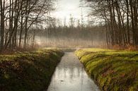 Symmetrische Landschaft mit Graben und Morgennebel - Bezaubernder Sonnenaufgang im Maulwurfswald von Karin van Es Miniaturansicht