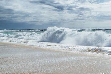 Golven voor de Storm