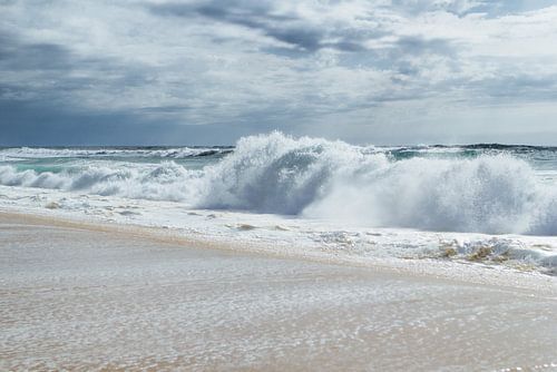Golven voor de Storm