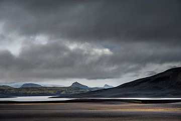 IJslandse ruigte van Danny Slijfer Natuurfotografie