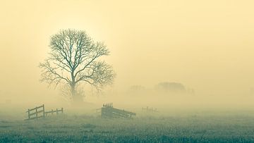 Rise above it all van Halma Fotografie