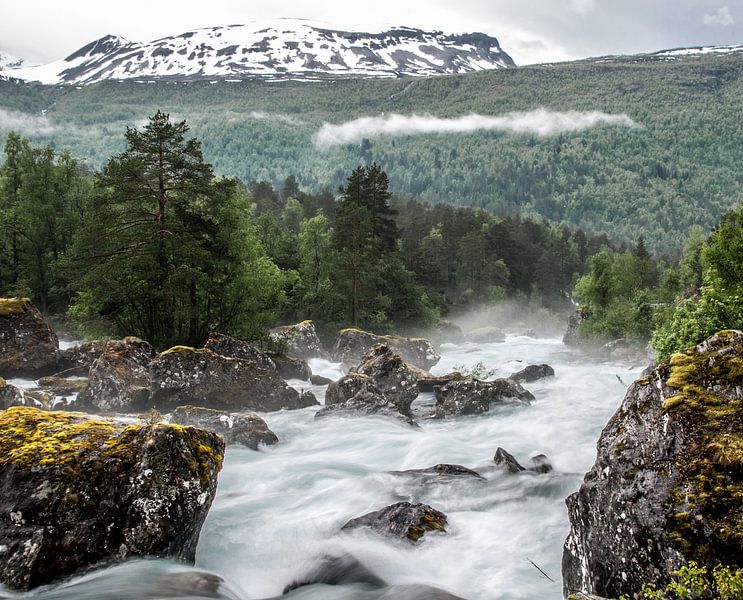 Wildwasser von Sander Strijdhorst