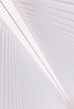 Architectuur van de Oculus Transport Hub in New York van Adelheid Smitt