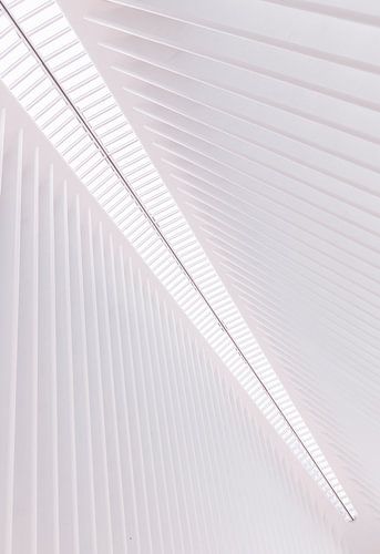 Architectuur van de Oculus Transport Hub in New York