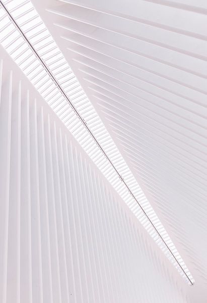 Architektur des Oculus Transport Hub in New York von Adelheid Smitt