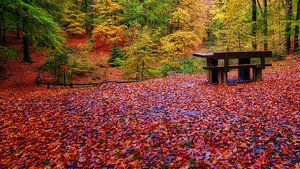 Zitbank in de herfst van eric van der eijk