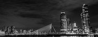 Kop van Zuid & Erasmusburg panorama in zwart wit van ABPhotography thumbnail