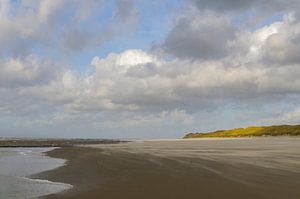 Strand van het Waddeneiland Vlieland  van Sjoerd van der Wal Fotografie
