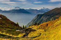 Ein neuer Tag auf der Belalp mit Blick auf die Walliser Berge von Sean Vos Miniaturansicht