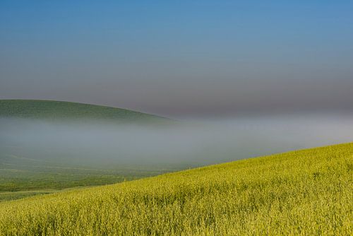 Sonnenaufgang in der Crete Senesi